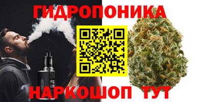 шишки Пугачёв