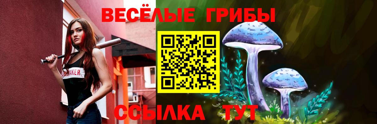 Псилоцибиновые грибы Psilocybe Ростов-на-Дону