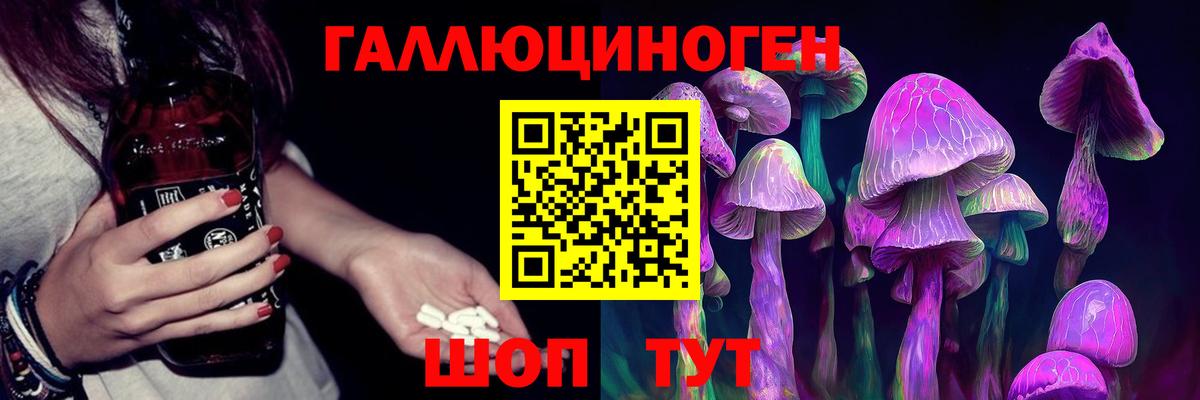 Псилоцибиновые грибы мицелий  Псилоцибиновые грибы GOLDEN TEACHER  Ростов-на-Дону  Вход с VPN 